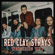 Wondering Why cover art