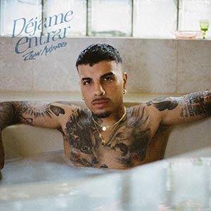 Déjame Entrar cover art
