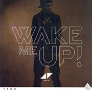 Wake Me Up cover art