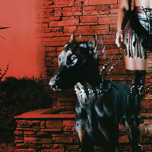 MUTT cover art