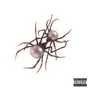 Agora Hills cover art