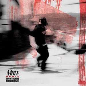 MUTT Remix cover art